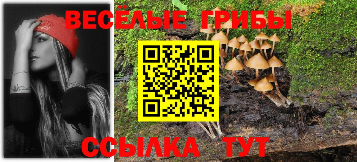 Муравленко  Псилоцибиновые грибы прущие грибы  Вход с VPN 