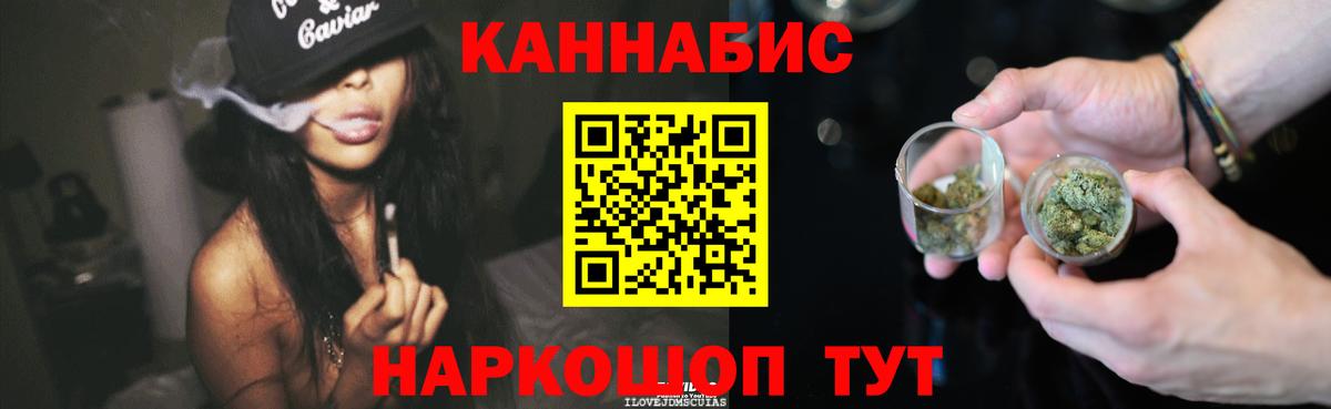 Каннабис планчик Муравленко